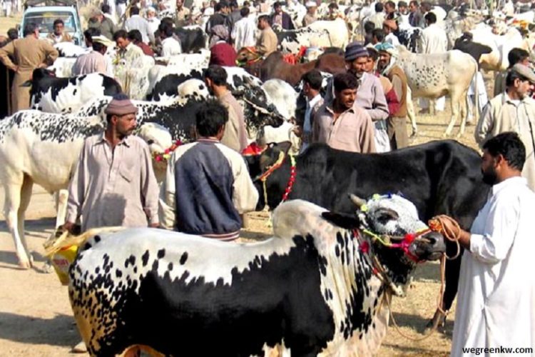 Holidays for Eid ul Adha in Pakistan August 2019