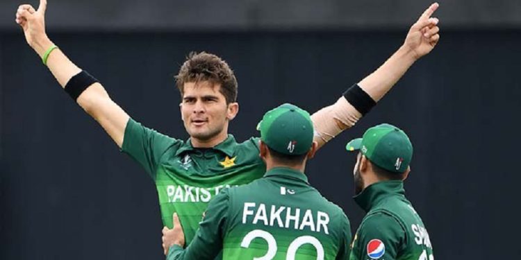Shaheen restricts New Zealand to 237 in World Cup clash