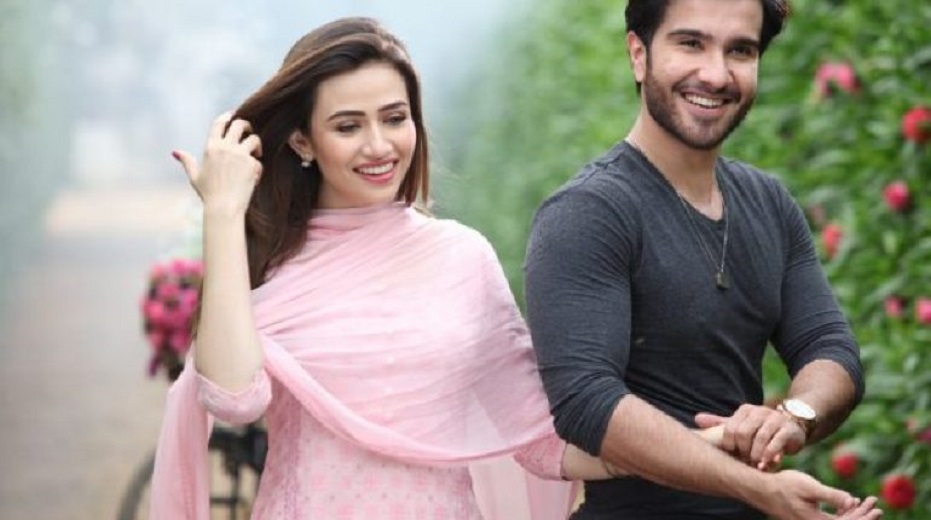 Drama Khaani nominated in six categories LSA 2019