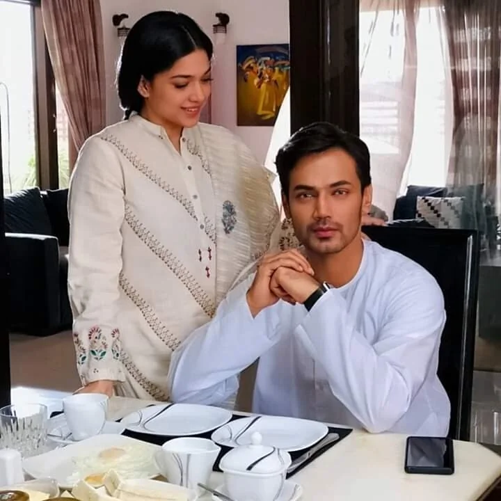 Mein Na Janoo by hum tv cast wegreenkw