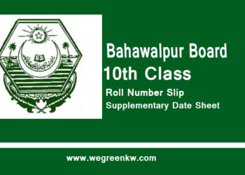 Bahawalpur 10th Class Supply