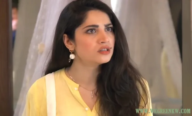 Qayamat Episode 24