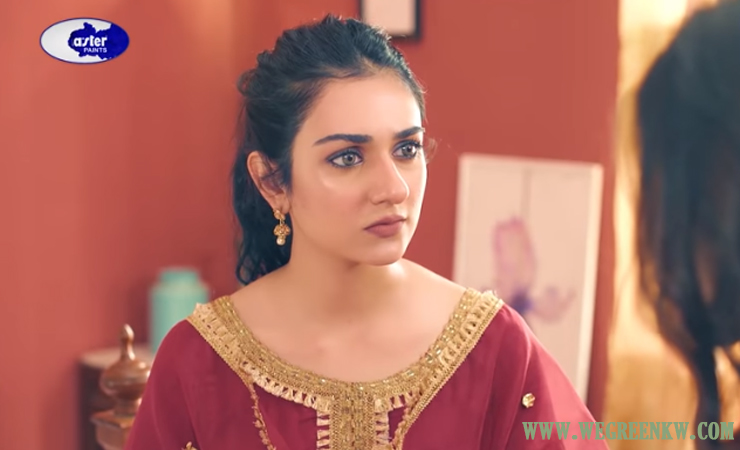 Raqs e Bismil Episode 11