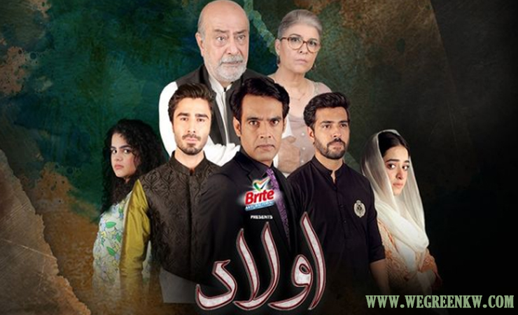 Aulaad Episode 30 – Ary Digital Drama – 1st June 2021