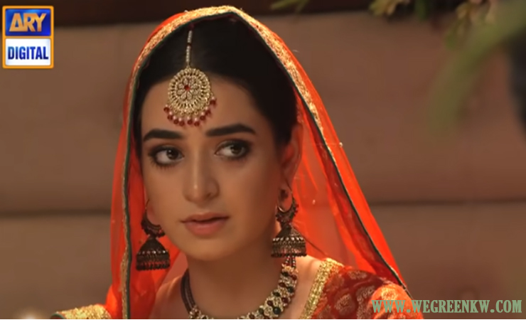Aulaad Episode 27 – Ary Digital Drama – 10th May 2021