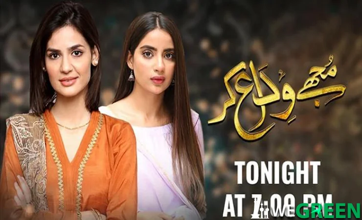 Mujhe Vida Kar Episode 20 – Ary Digital Drama – 17th June 2021