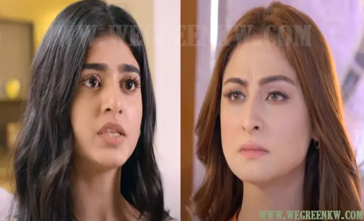 Rang Mahal Episode 81