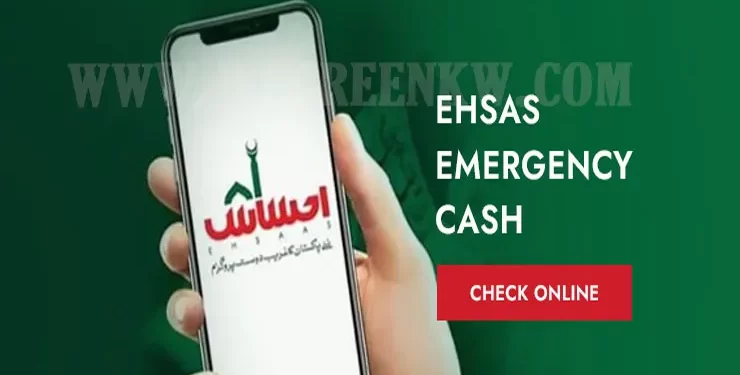 Ehsaas Program 786 Online Registration