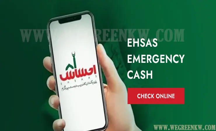 Ehsaas Program 786 Online Registration