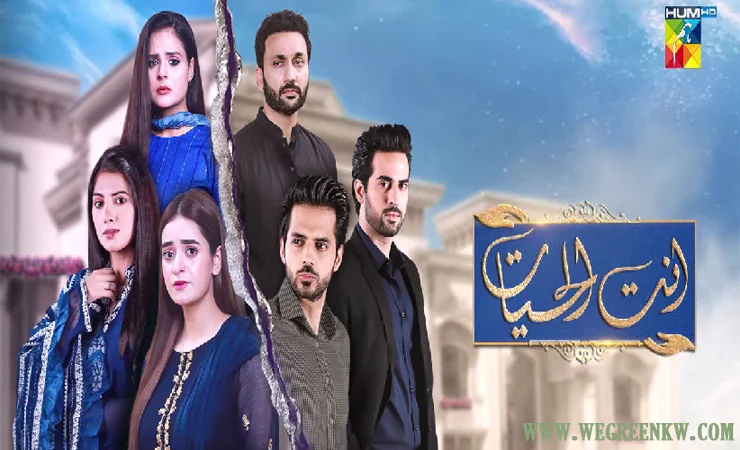 Antul Hayat Drama Cast
