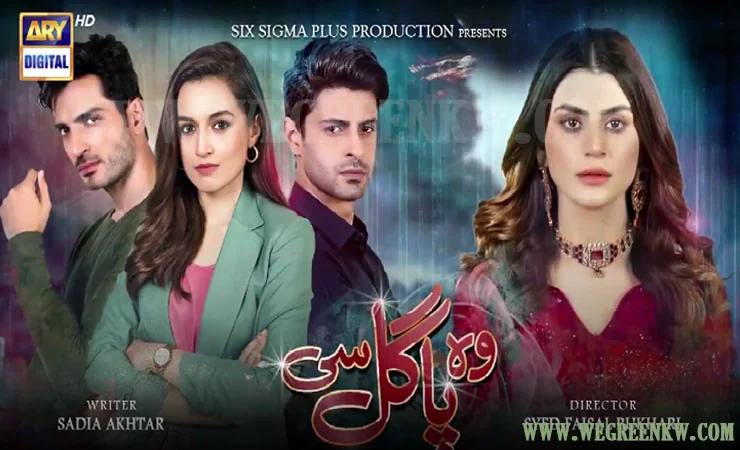 Woh Pagal Si Drama Cast