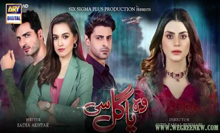 Wo Pagal Si Episode 20
