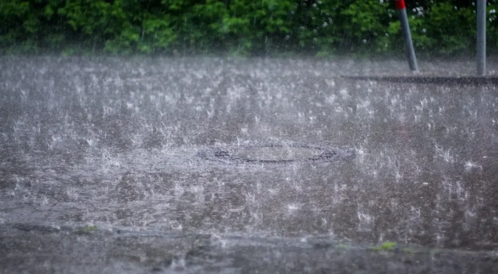 PMD Predicts Heavy Rains in Punjab Between October 5–7