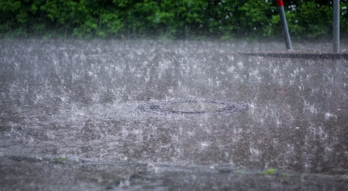 PMD Predicts Heavy Rains in Punjab Between October 5–7