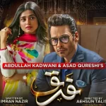sehar khan and faysal quraishi in Farq drama