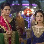 Hira Somroo and Sabeena Farooq in Tere Bin Drama