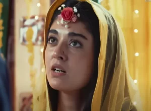 Mere Damad - Gallery image 8