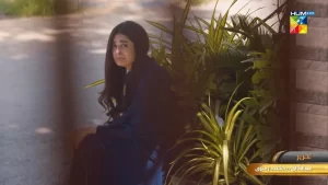 Mere Damad - Gallery image 2