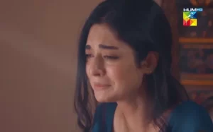 Mere Damad - Gallery image 3