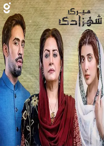 meri shehzadi drama cast