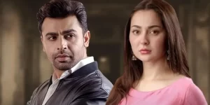 Mere Humsafar