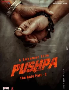 Pushpa 2 - Gallery image 3