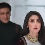 Manisha Koirala in Shehzada Movie