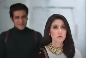 Shehzada - Gallery image 7