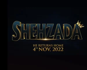 Shehzada - Gallery image 1