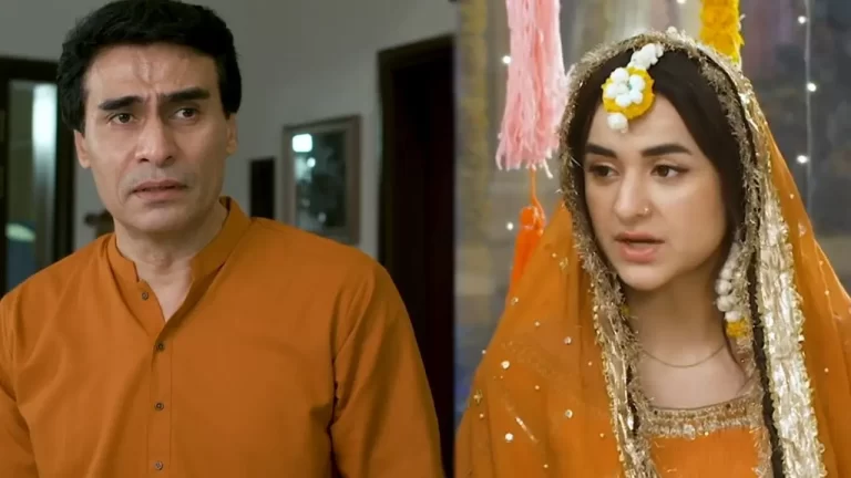 Tere Bin Yumna Zaidi RASM E HINA CEREMONY OF MEERAB