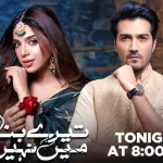 Pakistani Drama Tere Bina mein Nahi