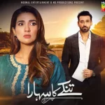 Rabab Hashmi and Sami Khan in Tinkay Ka Sahara Drama Cast