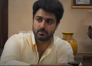 Bakhtawar - Gallery image 4