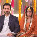 Tere Bin Wahaj Ali and Yumna Zaidi Wedding scene