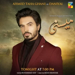 Meesni - Gallery image 11