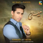 Ali Raza in Meesni Drama