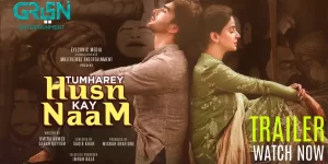 Tumhare Husn ke Naam