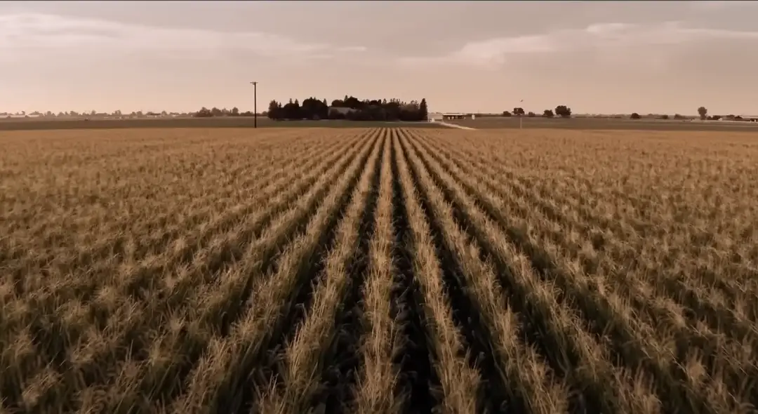 Children of the Corn Movie (2023)