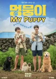 My Puppy Korean Movie 2023