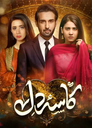 Kasa-e-Dil Best Pakistani Drama 2020