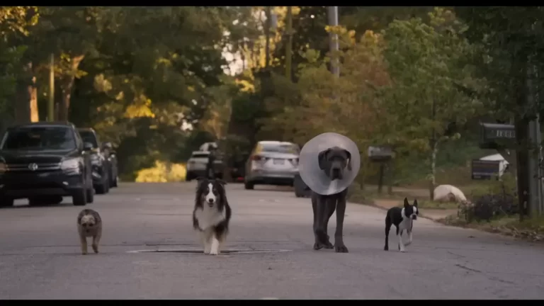 Strays (2023)