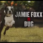 Jamie Foxx in Strays (2023)