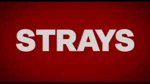 Strays - Gallery image 13