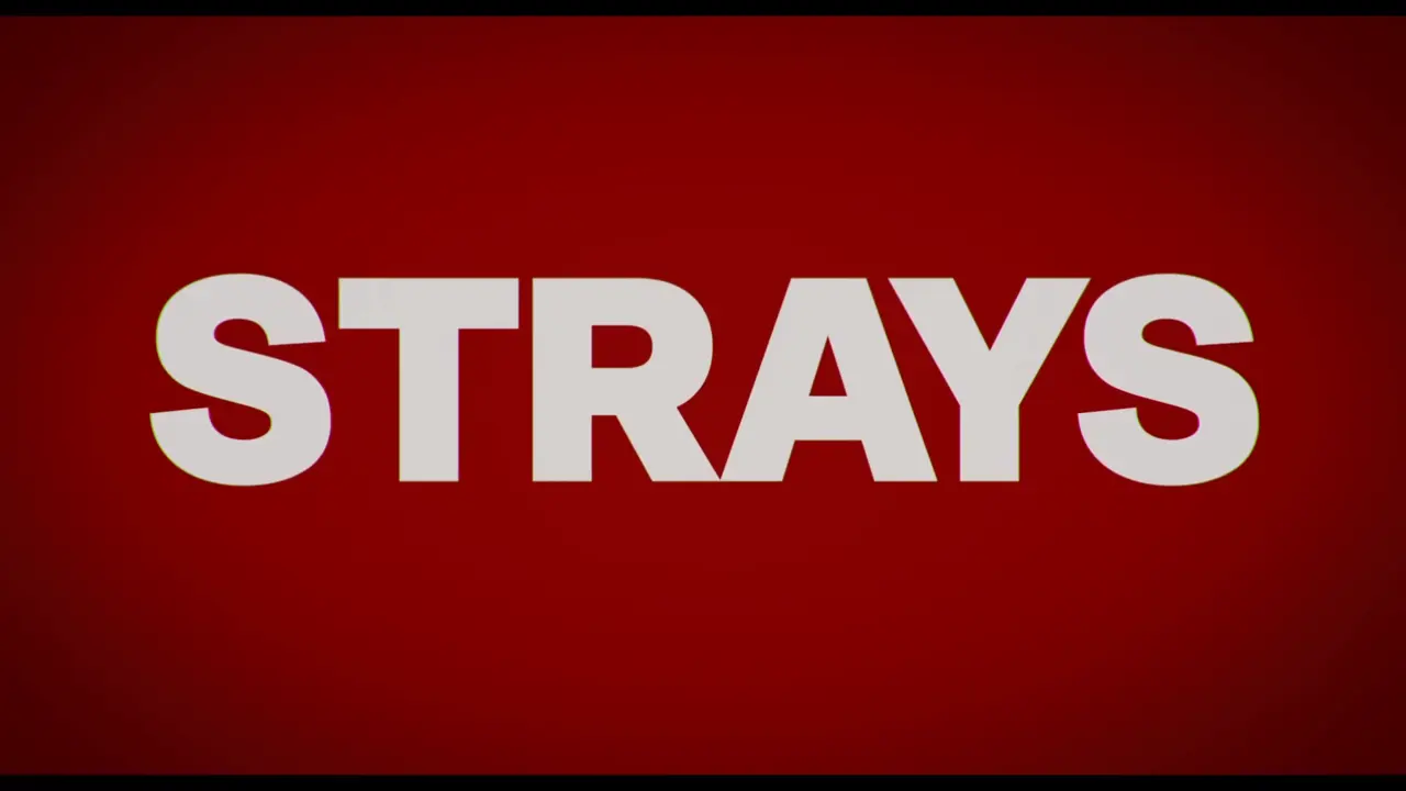 Strays (2023)