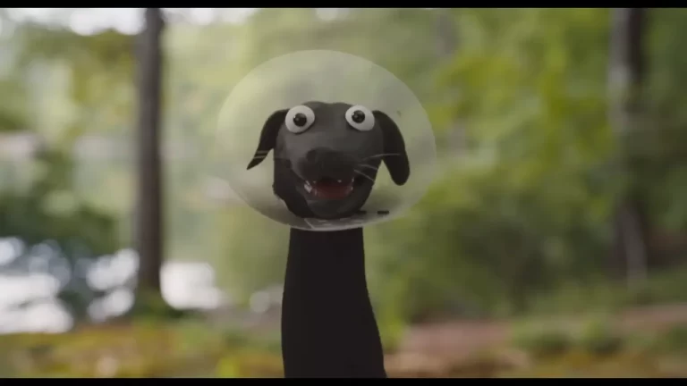 Strays (2023)