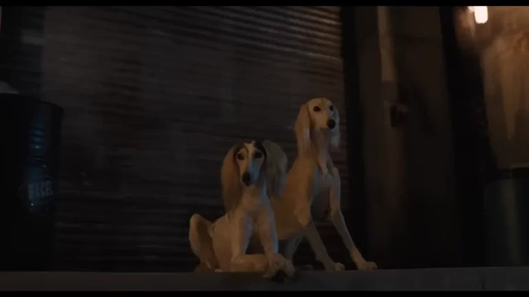 Strays (2023)