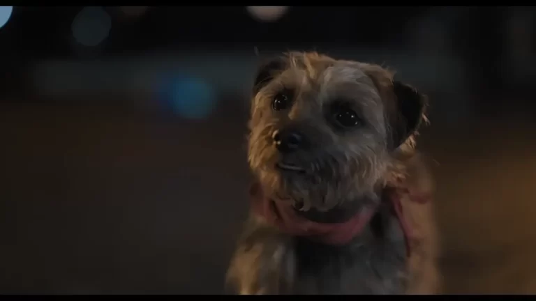 Will Ferrell in Strays (2023)