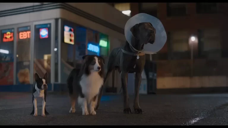 Strays (2023)