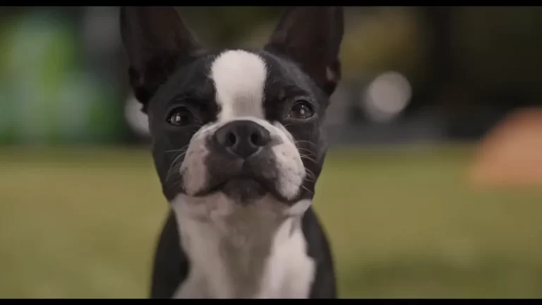 Jamie Foxx in Strays (2023)