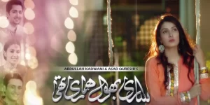 Saari Bhool Hamari Thi